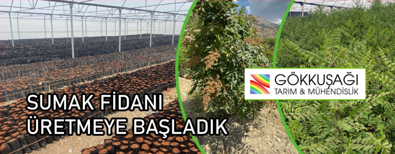 Slide Resim
